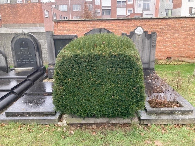 Hier ligt mijnheer SubstrAl begrAven.