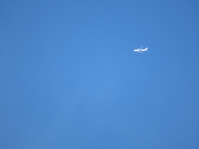 The lonely plAne