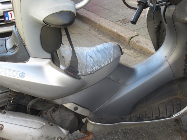 Sitting duck (tApe)