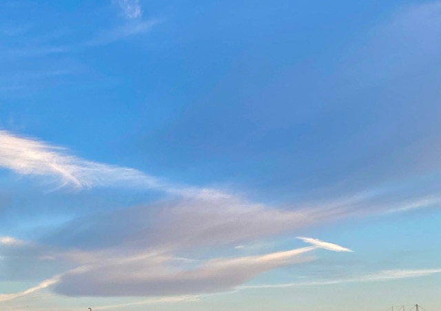 De viswolk
