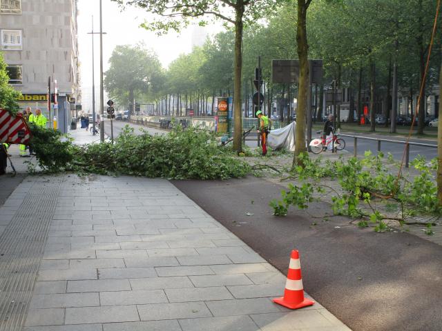 A groen fietspAd.