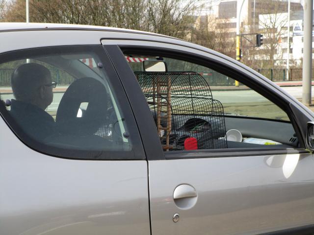 PArkietentrAnsport