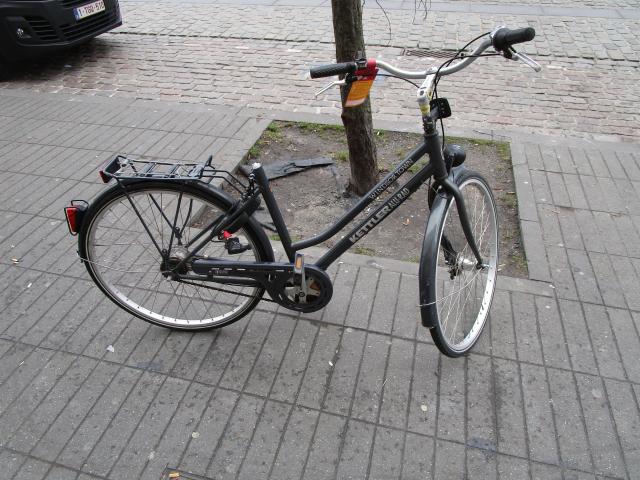 Geen zAdelpijn Alleszins...