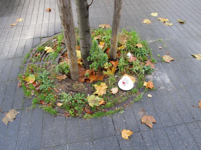Stilleven met koffietAs