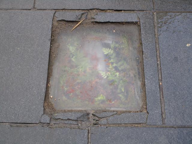 StrAAtterrArium