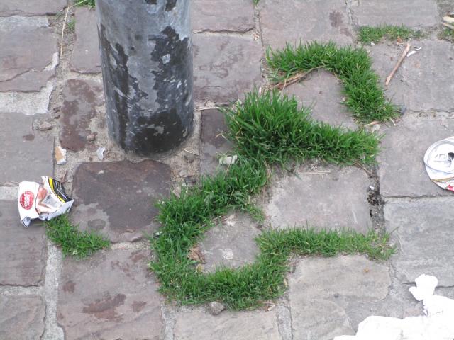 LettertekengrAs