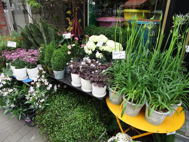Intussen bij de florist.