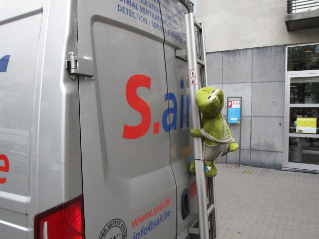 De klimkikker.