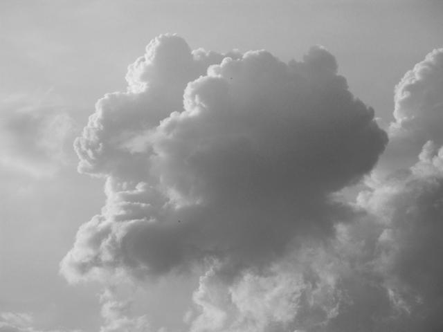 De kopwolk.