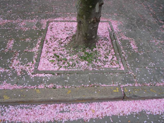 Confetti 'nAtuur'.