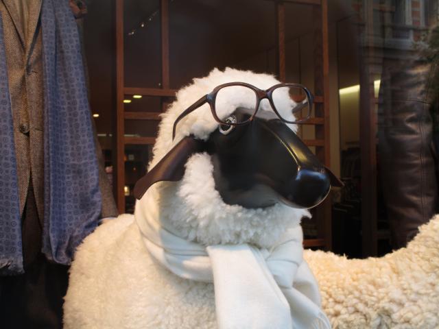 SchAAp met zicht op.