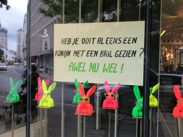 Het brilkonijn.