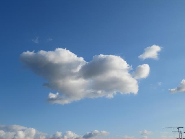 De hondjeswolk.