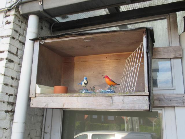 Het vogelperspectief.