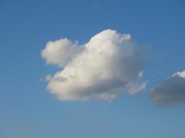 De clownwolk.