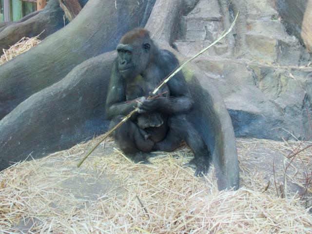 Moeder en kind.