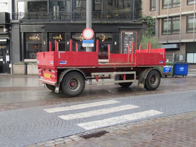 De mol !