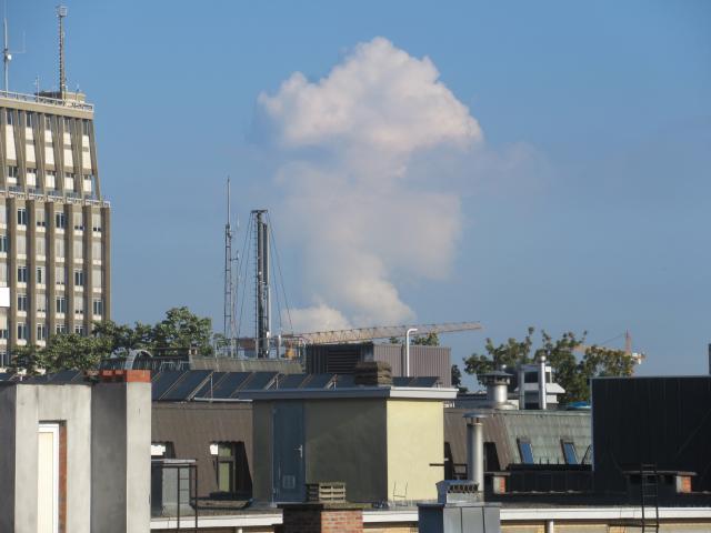 De hoofdwolk.