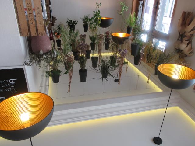 HangplAnten.