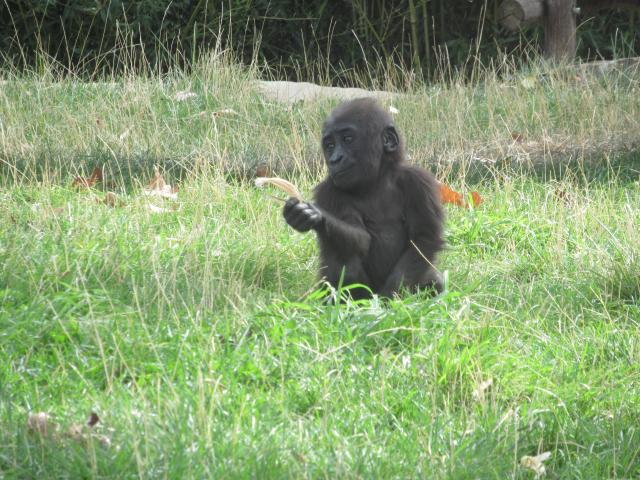 Onze kleinste.
