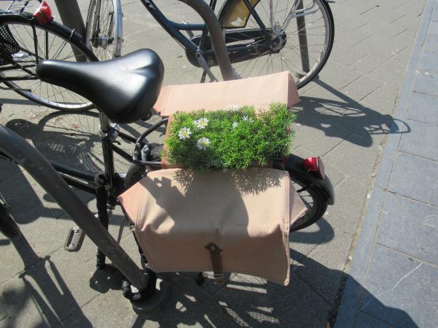 Een mobiel gAzonneke.