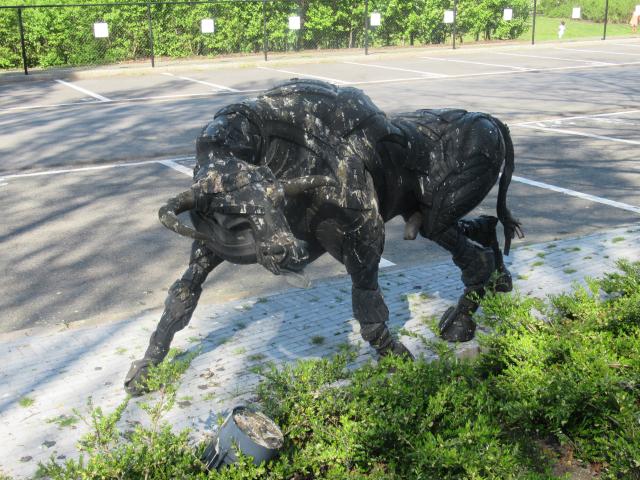 Stier AAn bAnden.