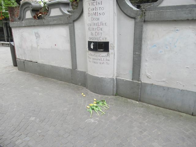 Geen hulp voor de tulp.