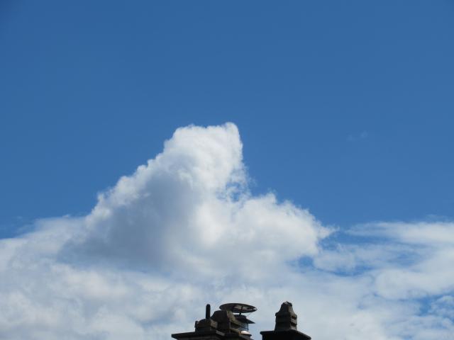 De zwemwolk.