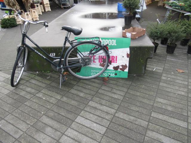 Steen te huur.